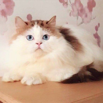 Shop Primary Image