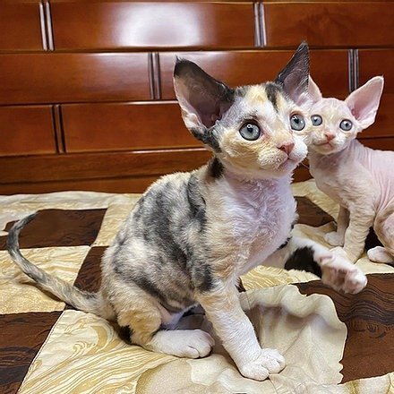 Shop Primary Image