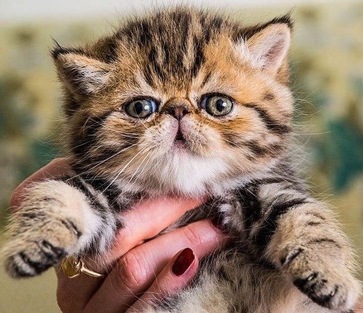 Shop Primary Image